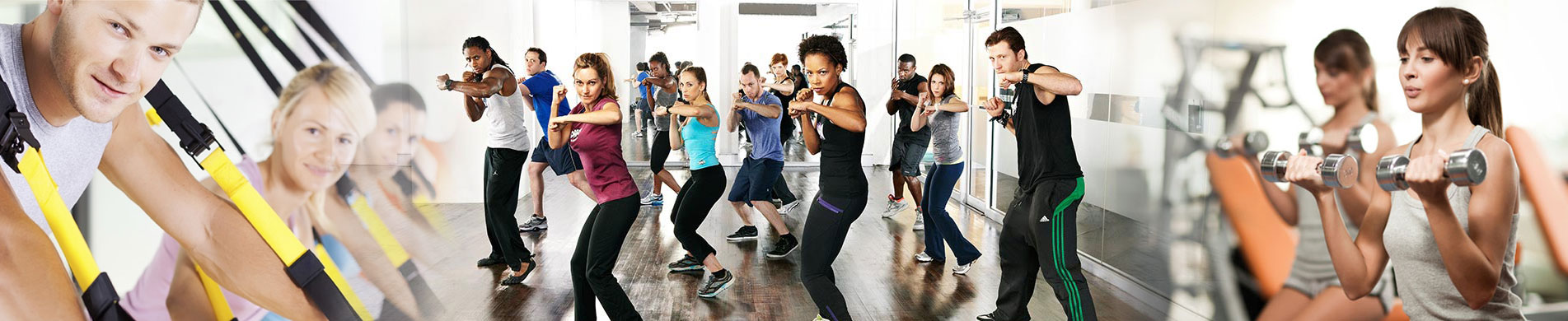 Bear Fitness exercise options