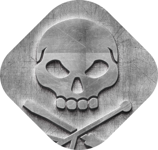 Pirate Computer Repair logo thumbnail